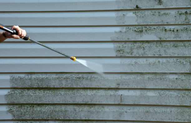 Best Pressure Washing Siding  in Jasmine Estates, FL