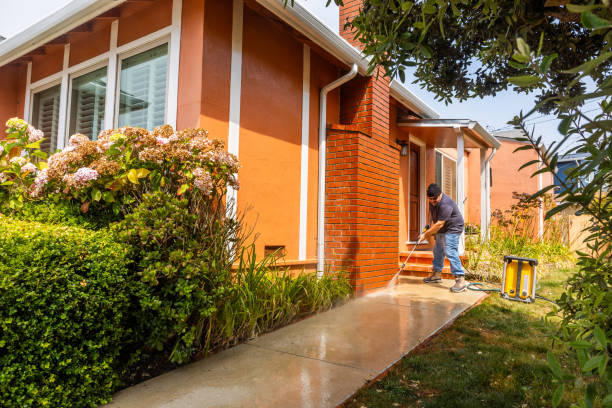 Best Best Pressure Washing Companies  in Jasmine Estates, FL