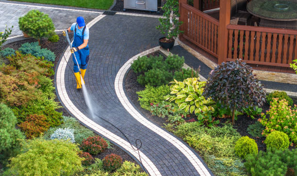 Best Deck Pressure Washing  in Jasmine Estates, FL